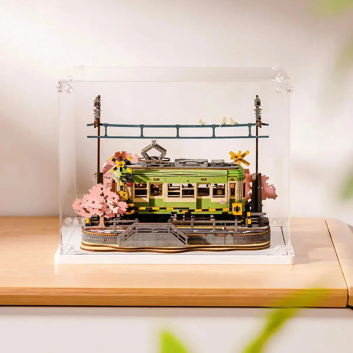 Sakura Journey TGS02 uvnitř Rolife Display Box TGF01