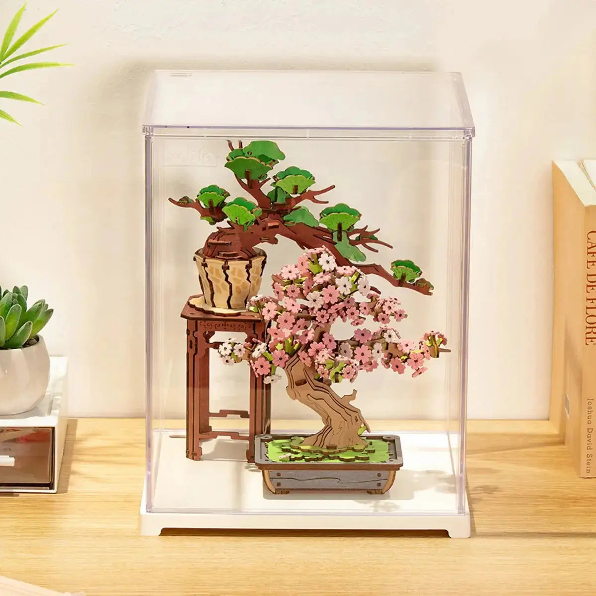 Sakura Bonsai chráněn uvnitř Rolife DF05L vitríny