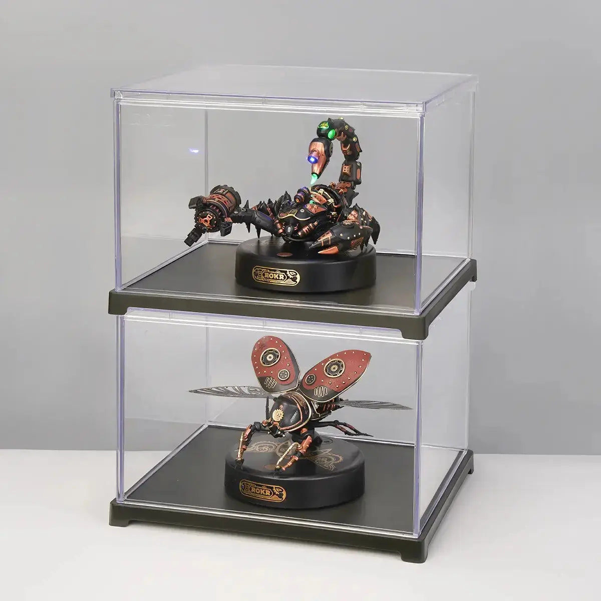 Mechanical beetle model protected inside the ROKR RFM02 display case