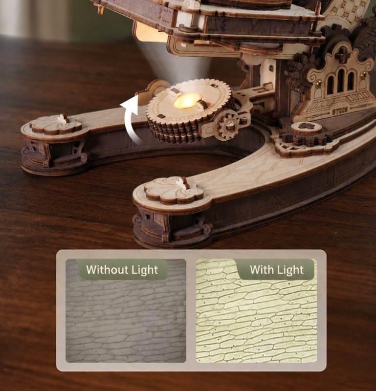 Clear View with LED Lighting