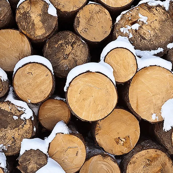 Precision-Cut Wooden Construction