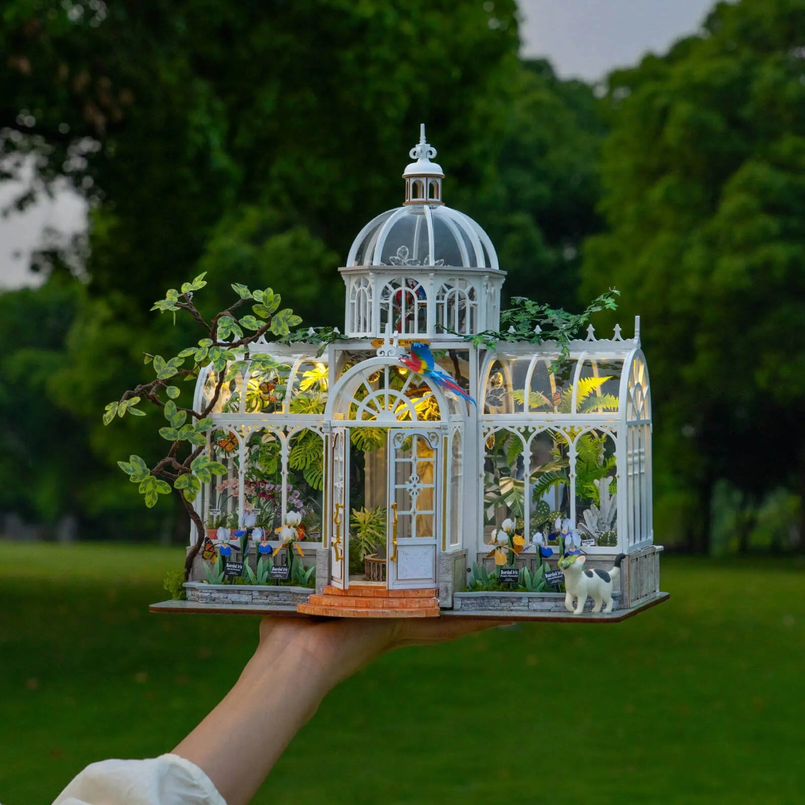 Hand-held Rolife Oxygen Oasis miniature greenhouse glowing in an outdoor scene