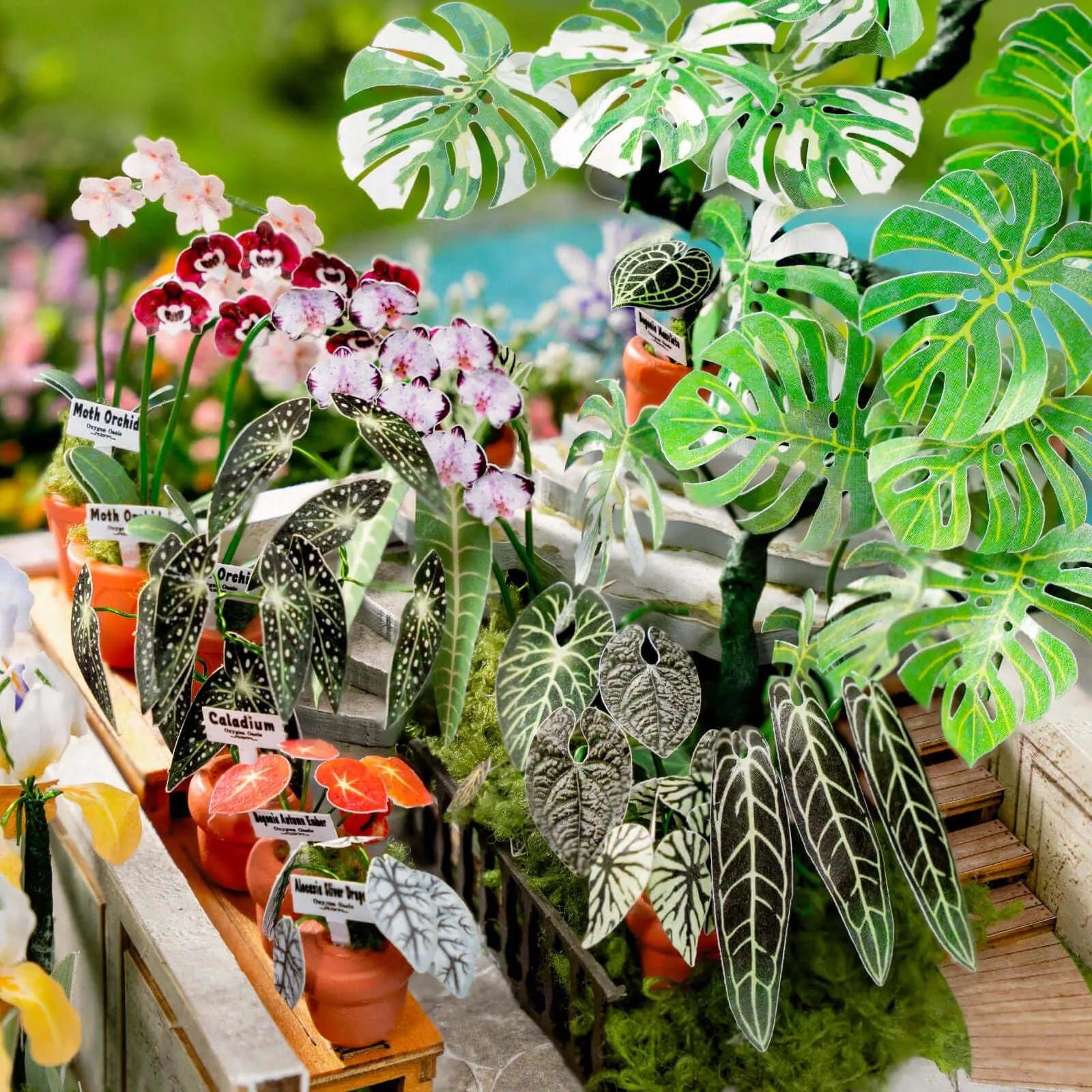 Close-up of orchids, begonias and monstera plants inside the Rolife Oxygen Oasis model