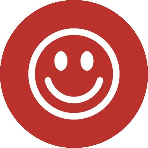 Pursue Happiness Icon - Toys Quiz