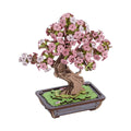 Rolife Sakura Bonsai DIY Wooden 3D Puzzle Toys Quiz