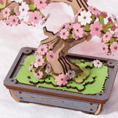 Rolife Sakura Bonsai DIY Wooden 3D Puzzle Toys Quiz
