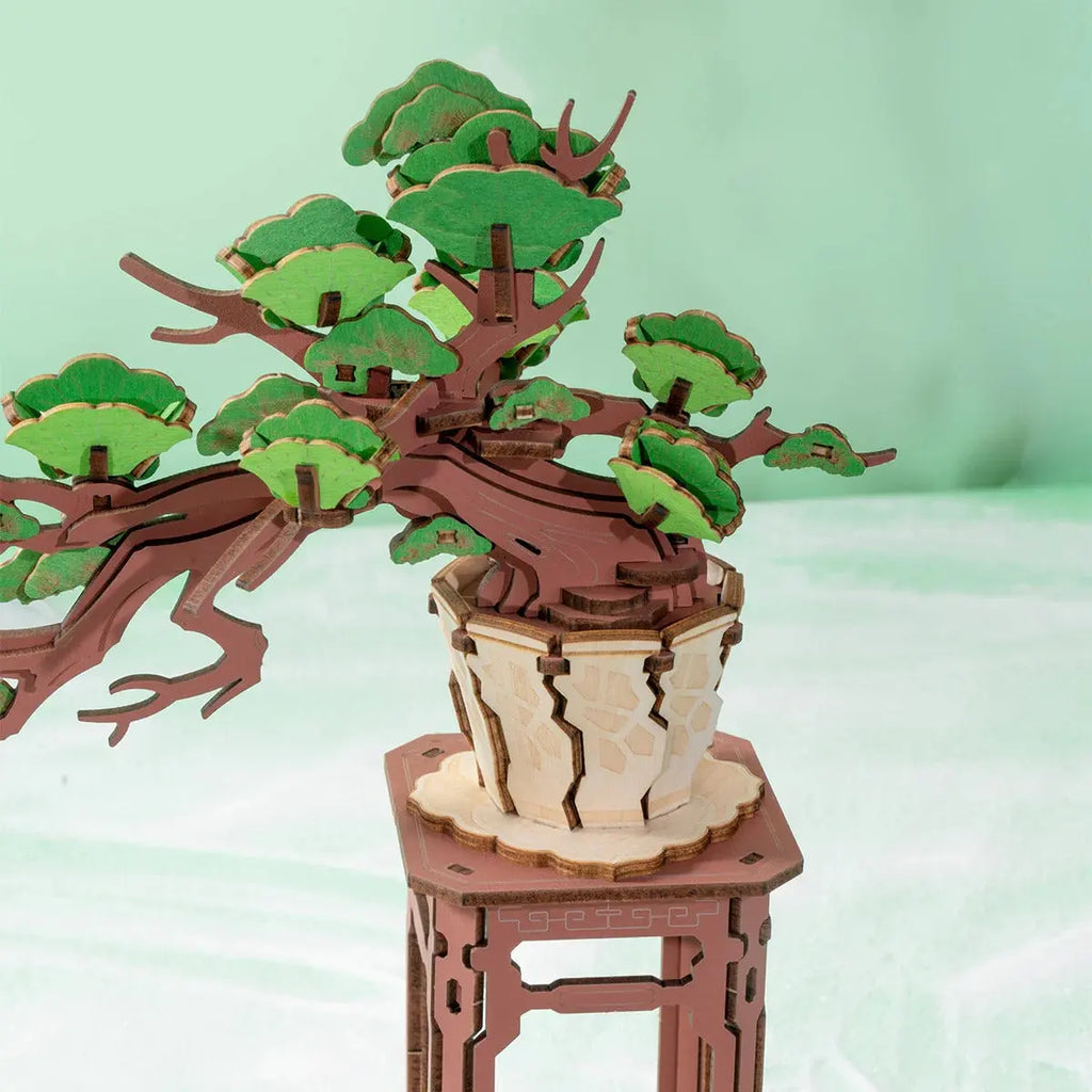 Rolife Evergreen Pine Bonsai DIY Wooden 3D Puzzle Toys Quiz