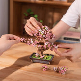 Rolife Sakura Bonsai DIY Wooden 3D Puzzle Toys Quiz