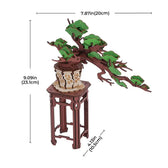 Rolife Evergreen Pine Bonsai DIY Wooden 3D Puzzle Toys Quiz