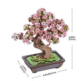 Rolife Sakura Bonsai DIY Wooden 3D Puzzle Toys Quiz