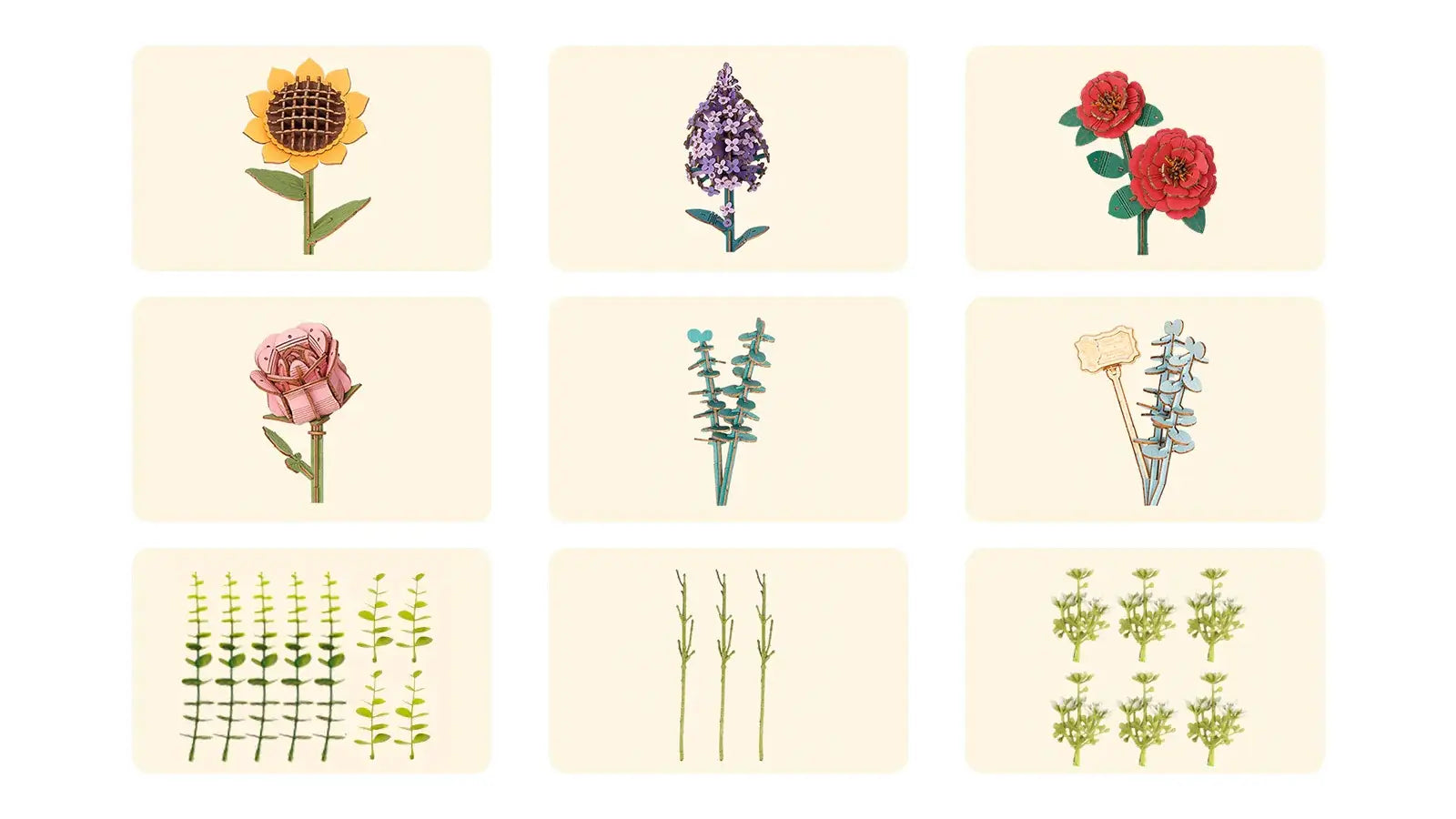 The Meaning Behind Each Flower