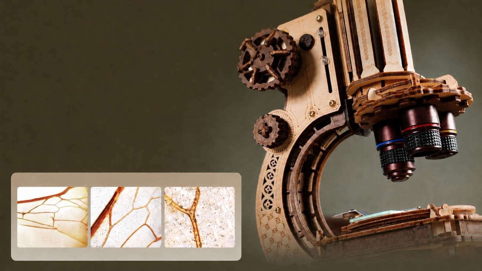 ROKR wooden microscope with three magnified plant and cell specimen views