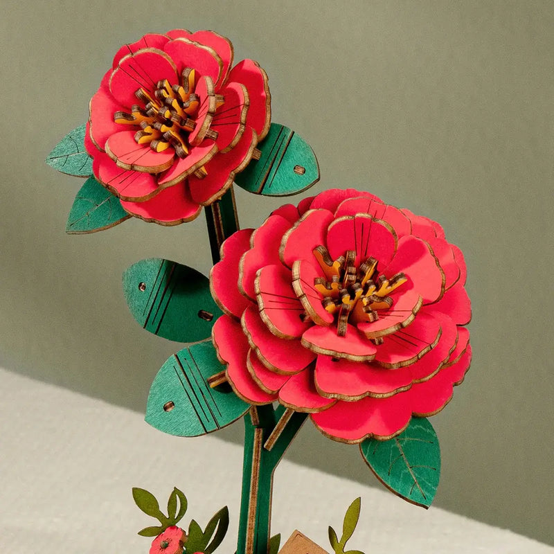 Red Camellia